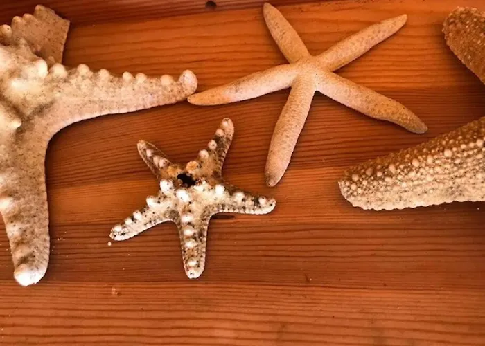 別荘 De Pecheurs Huraia ヴィエル・サン・ジロン